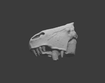Raranimus dashankouensis — 3D Model STL | Prehistoric Therapsid | Paleoart Reference | 3D Printing File