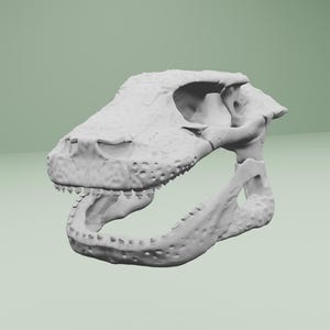 May include: A detailed, off-white dinosaur skull, showcasing the intricate bone structure. The skull features a prominent jawline with visible teeth and detailed texture, set against a soft green backdrop. The overall design suggests a focus on paleontology or prehistoric themes.