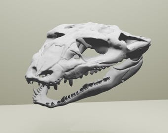 3D Printable Thikarisuchus xenodentes Skull STL – Prehistoric Reptile Fossil Replica | Paleo Model for Display, Education, and Collectors