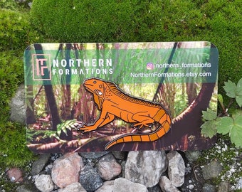 Orange iguana Hard Enamel Pin