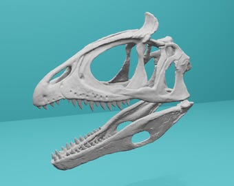 Cryolophosaurus Skull STL | Dinosaur Fossil 3D Model | Jurassic Predator Replica | 3D Printing File | Paleo Sculpture| Digital Download