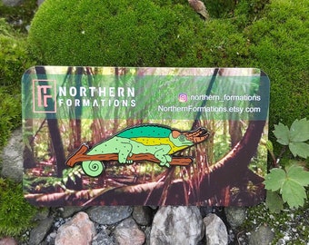 Earth Chameleon Hard Enamel Pin