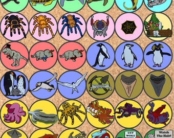 Mystery bag of 3 B-grade (seconds) hard enamel pins