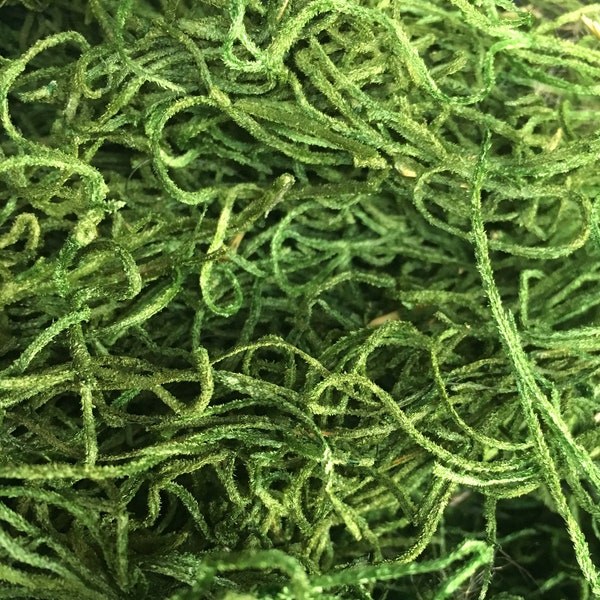 Green Preserved Spanish Moss for crafting and floral design, 4 oz. bag