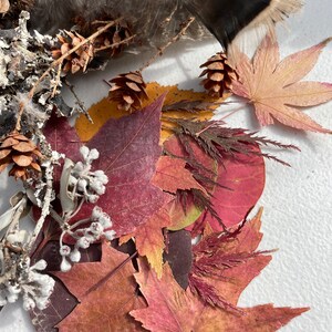 Op de afbeelding: Een verzameling herfstbladeren in tinten rood, oranje en geel, met een paar dennenappels en een grijze veer.