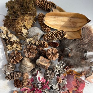 Op de afbeelding: Een verzameling natuurlijke elementen, waaronder dennenappels, gedroogde bladeren, veren, mos en zaaddozen. Deze items zijn perfect voor knutselen, decoreren of om een ​​natuurlijke touch aan je huis toe te voegen.