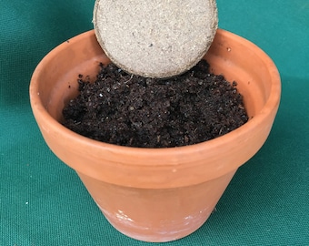 Compressed Potting Soil For Indoor Plants