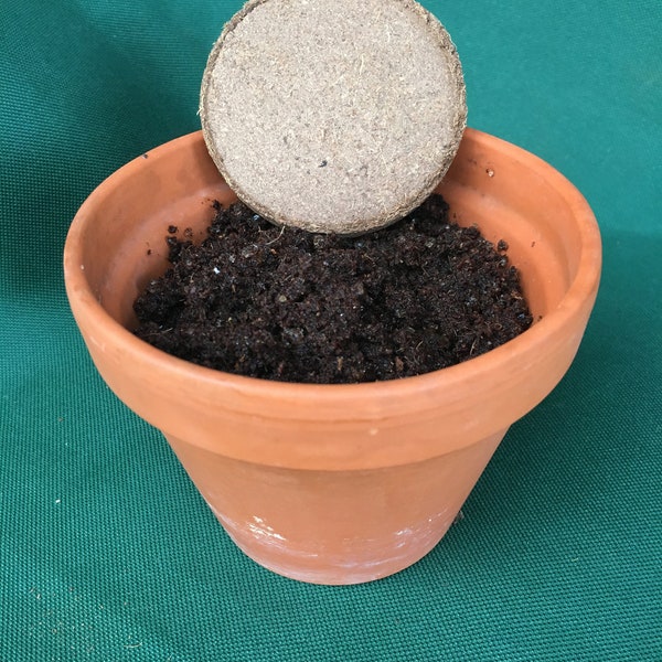 Compressed Potting Soil For Indoor Plants
