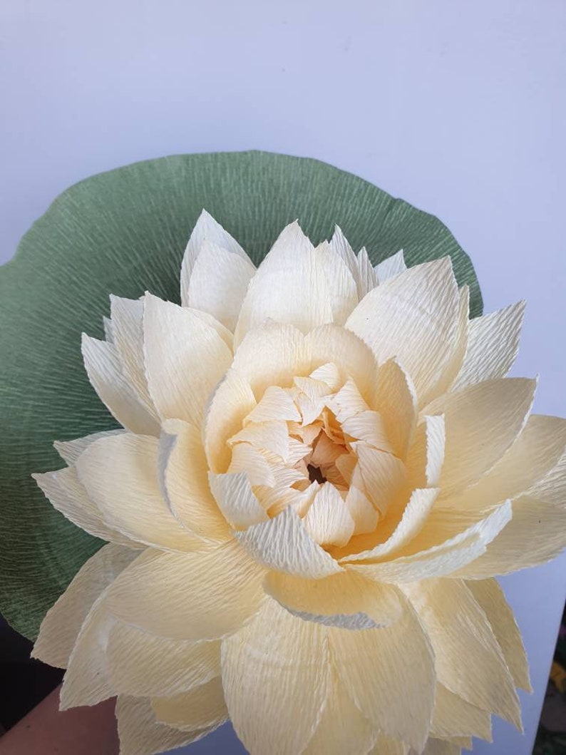 Water lily/ Crepe paper flower yellow/ Paper lily/ Etsy
