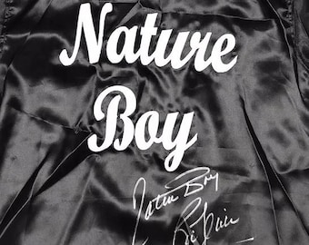 マイク・タイソン NINTENDO PUNCH OUT サイン入り額装　jsa マイク・タイソン NINTENDO PUNCH OUT サイン入り額装 jsa