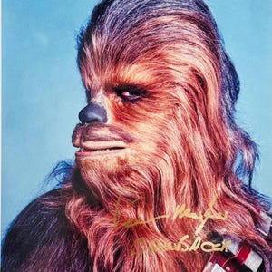 Peter Mayhew Chewbacca Autographed Signed Star Wars 8x10 Photo JSA COA