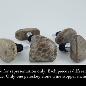Puede incluir: Tapones de vino de piedra Petoskey. Cada tap&oacute;n presenta una piedra fosilizada &uacute;nica con una superficie natural estampada. Los tapones tienen una base de goma negra y un v&aacute;stago de metal plateado. El texto de la imagen dice: "Foto solo para representaci&oacute;n."