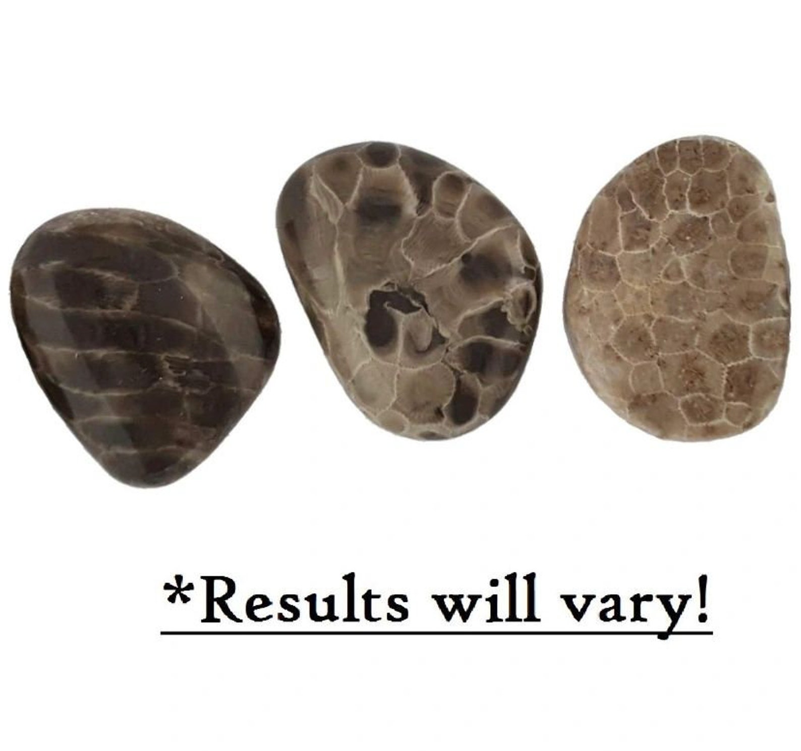 Petoskey Stone Polishing Kit Etsy