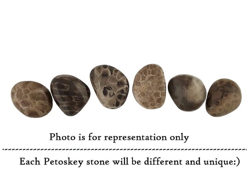 Petoskey Stone Tumbled and Naturally Polished choose your size image 2