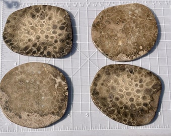 Petoskey Stone Coaster -Solid Slabs!