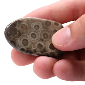 Petoskey Worry Stone