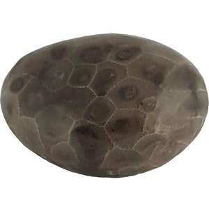 Petoskey Stone Tumbled and Naturally Polished choose your size image 4