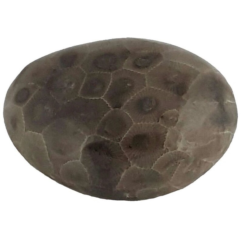 Petoskey Stone Tumbled and Naturally Polished choose your size image 4