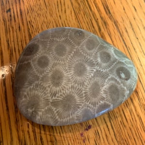 Petoskey Stone Tumbled and Naturally Polished choose your size image 6