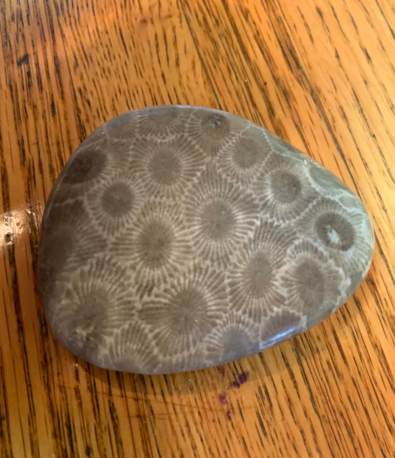Petoskey Stone Tumbled and Naturally Polished choose your size image 6