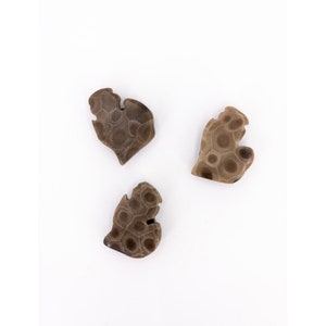 Michigan Shaped Petoskey Stone Magnet (small)