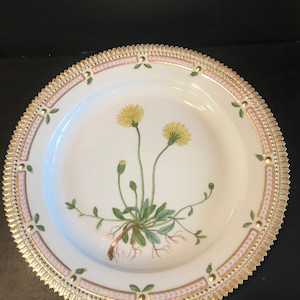 Royal Copenhagen Denmark 12” Plate. Flora Danica. Mint Condition. Hieracium Pilosella L.