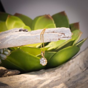 Op de afbeelding: Een gouden hangerketting met een cluster van kleine, heldere edelstenen. De hanger hangt aan een fijne gouden ketting. De ketting wordt gepresenteerd tegen een achtergrond van groene vetplanten en een stuk drijfhout.