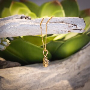 Op de afbeelding: Een goudkleurige hangerketting met een fijne ketting. De hanger heeft een cirkelvormig ontwerp met kleine, sprankelende details. De ketting hangt tegen een achtergrond van groene bladeren en een verweerde, wit geschilderde tak.