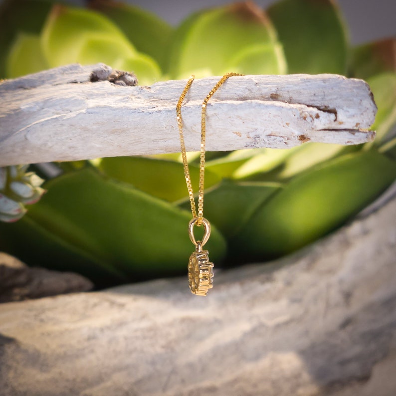 Op de afbeelding: Een goudkleurige hangerketting met een fijne ketting. De hanger heeft een cirkelvormig ontwerp met kleine, sprankelende details. De ketting hangt tegen een achtergrond van groene bladeren en een verweerde, wit geschilderde tak.