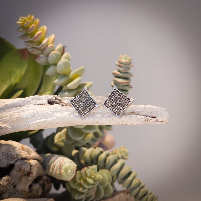 May include: A pair of square stud earrings with a silver frame and a surface covered in small, sparkling stones. The earrings are displayed on a piece of driftwood, with green succulents in the background.
