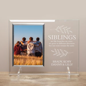 May include: A glass picture frame with a silver border and a white inscription that reads "Siblings are like branches on a tree, we grow in different directions but our roots remain the same." The inscription is surrounded by a floral design. The frame has a photo of four people standing in a field. The names "Brady, Kory, Danny & Lilly" are printed below the inscription.