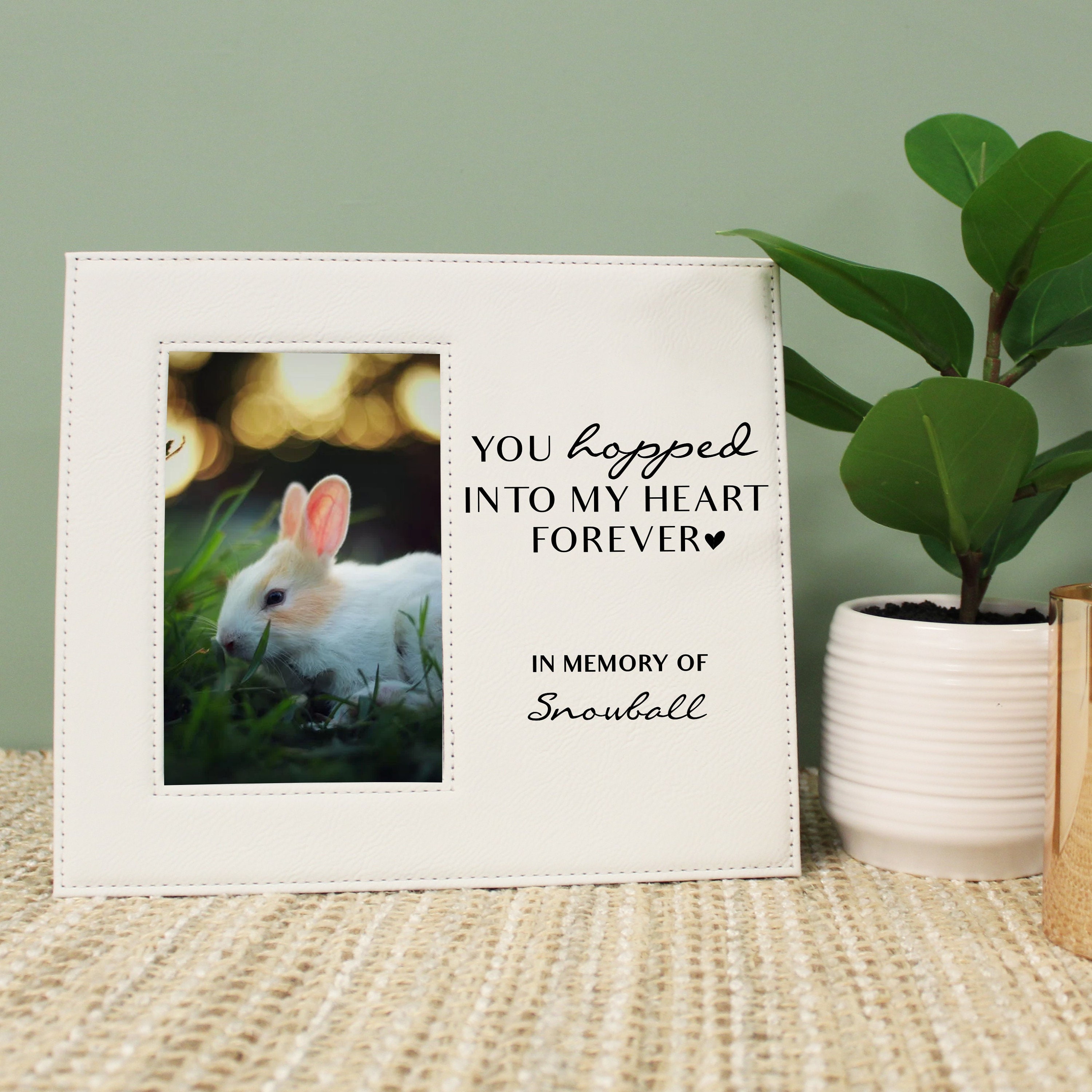 Frame Rabbit Pet Pet Rabbit Photo Frame