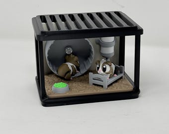 Guinea Pigs With Playset