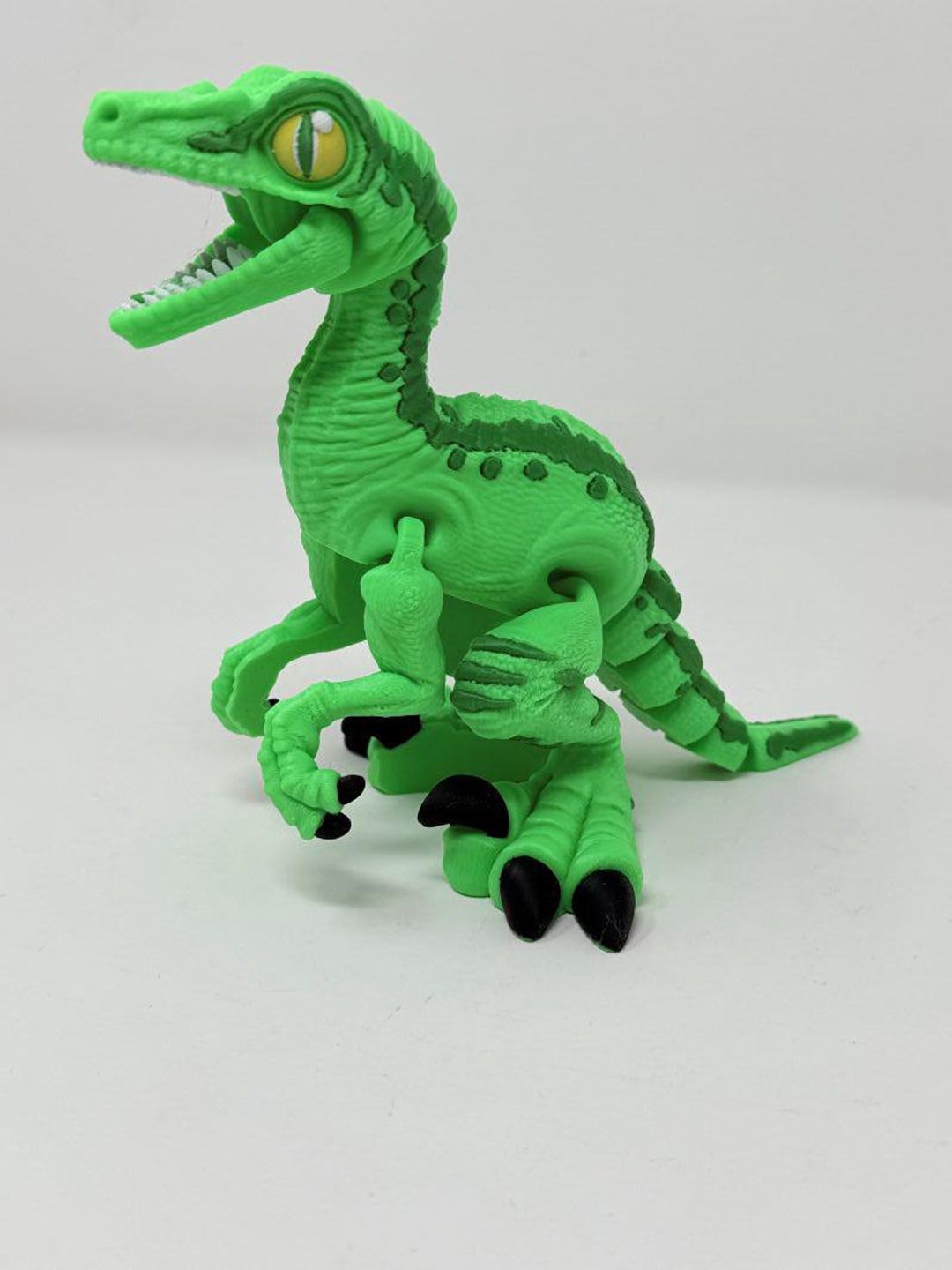 3D Printed Articulated Raptor – Flexi Dino Fidget Toy, Desk Decor - Etsy