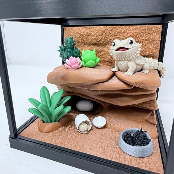 3D Printed Bearded Dragon Terrarium with Lift Lid And Crackable Egg
