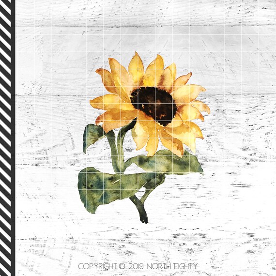 Summer Vibes Sunflower and Butterflies Digital Download Sunflower Sublimation Design Wildflower Sublimation Sunshine