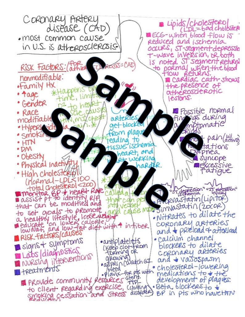 May include: Hand-drawn diagram of the human body with notes about coronary artery disease (CAD). The diagram highlights the heart and blood vessels. The notes discuss risk factors, symptoms, treatments, and other important information about CAD.