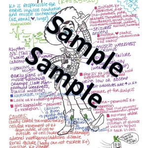 May include: Hand-drawn medical illustration with a cartoon cowboy character. The illustration explains hyperkalemia, a condition where there is too much potassium in the blood. The illustration includes information about the causes, symptoms, and treatment of hyperkalemia. The illustration also includes a cartoon character with the text "Thanks for the ride, suga!"