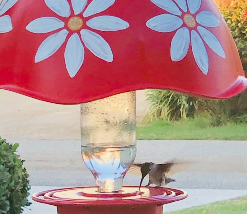 Hummingbird HumBrella Feeder Shade Umbrella Cover For Etsy