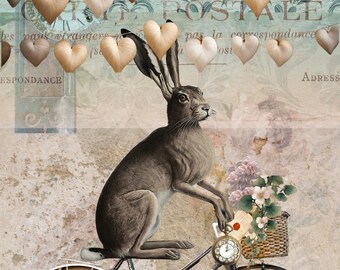Hare's and hearts greeting cards