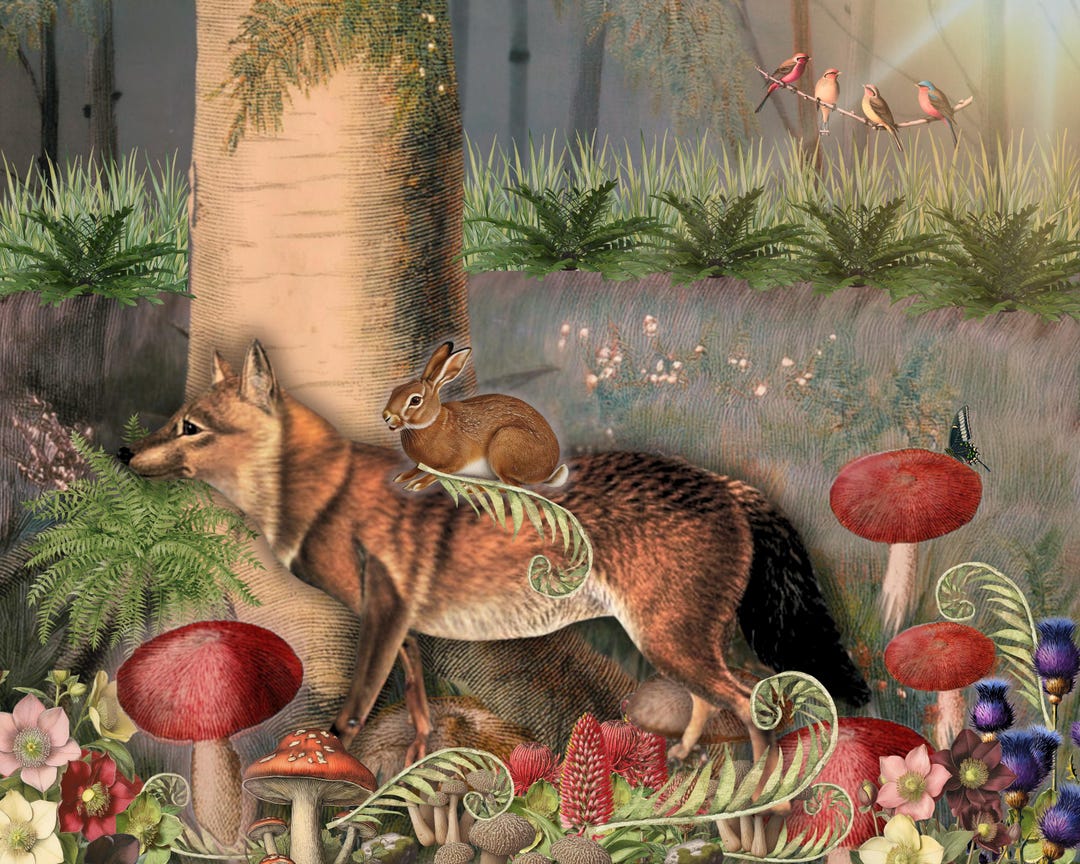 Fox Rabbit Art Fox and Rabbit Art Print: Enchanted Woodland Illustration, Cottagecore ...
