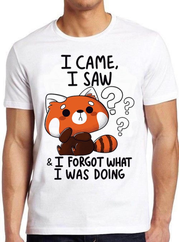 I Came I Saw I Forgot What I Was Doing T-Shirt Great Gift I Came I Saw I Forgot What I Was Doing T-Shirt Great Gift