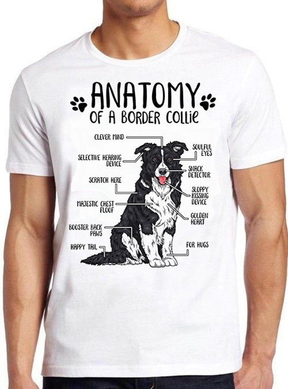 Funny Anatomy Border Collie Dog Lover Gift T-Shirt Funny Anatomy Border Collie Dog Lover Gift T-Shirt