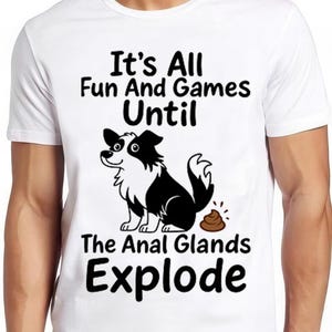 Veterinário Técnico Veterinário É tudo diversão e brincadeiras até as glândulas anais explodirem Camiseta com meme Border Collie, presente legal, camiseta 2741