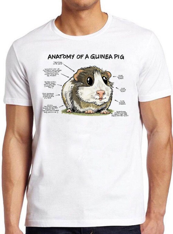 Keep Calm And Love Guinea Pigs - Graphic Novelty Tshirt Keep Calm And Love Guinea Pigs - Graphic Novelty Tshirt