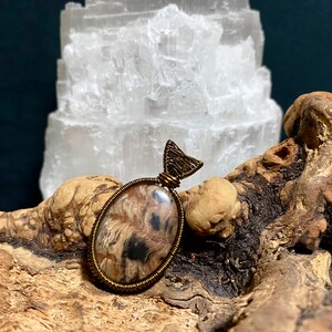 Petrified Wood Wire Wrap