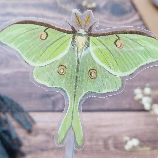 Clear Sticker: Luna Moth Design for Nature Lovers Fluffy & Cute Little Actias Luna American Moon Moth 3" Decal for Laptop or Water Bottle