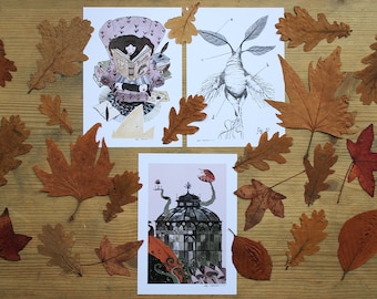 Art print set - Potter bundle (prints)