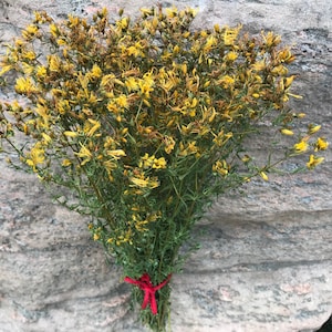 Gedroogd sint-janskruid, heel sint-janskruid, natuurlijk gedroogd sint-janskruid, gedroogd wild gras, gedroogd wild kruid