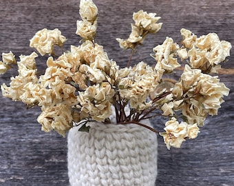 May include: Dried white flowers in a cream-colored crocheted pot. The pot is made of thick yarn and has a textured surface.